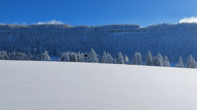 neige sur la Roche Champion