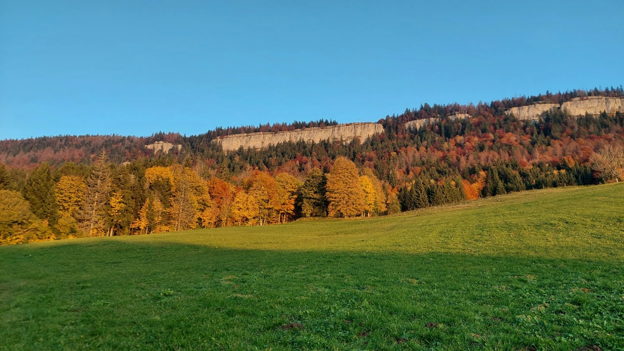 lumière automnale