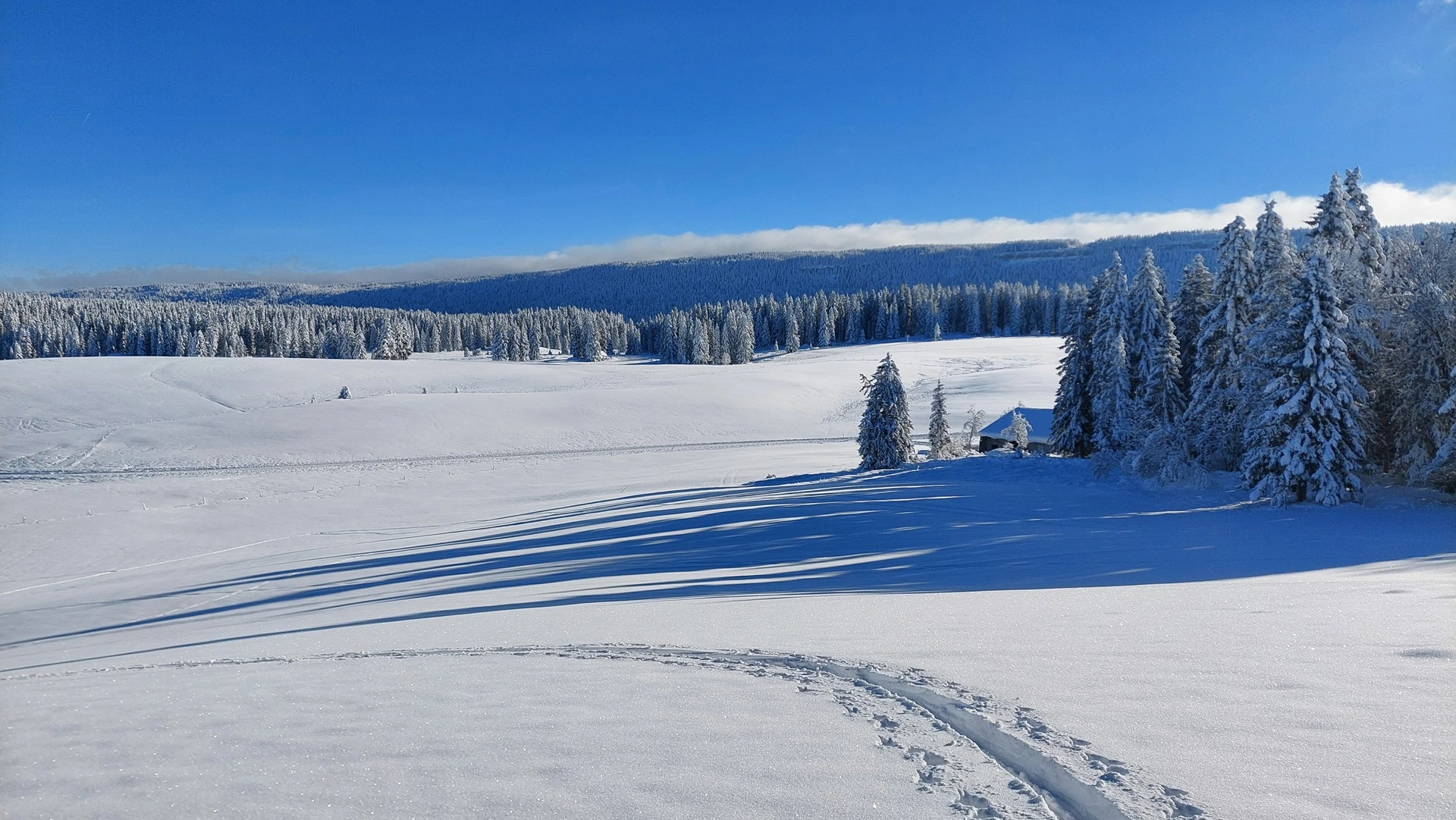 paysage hivernal